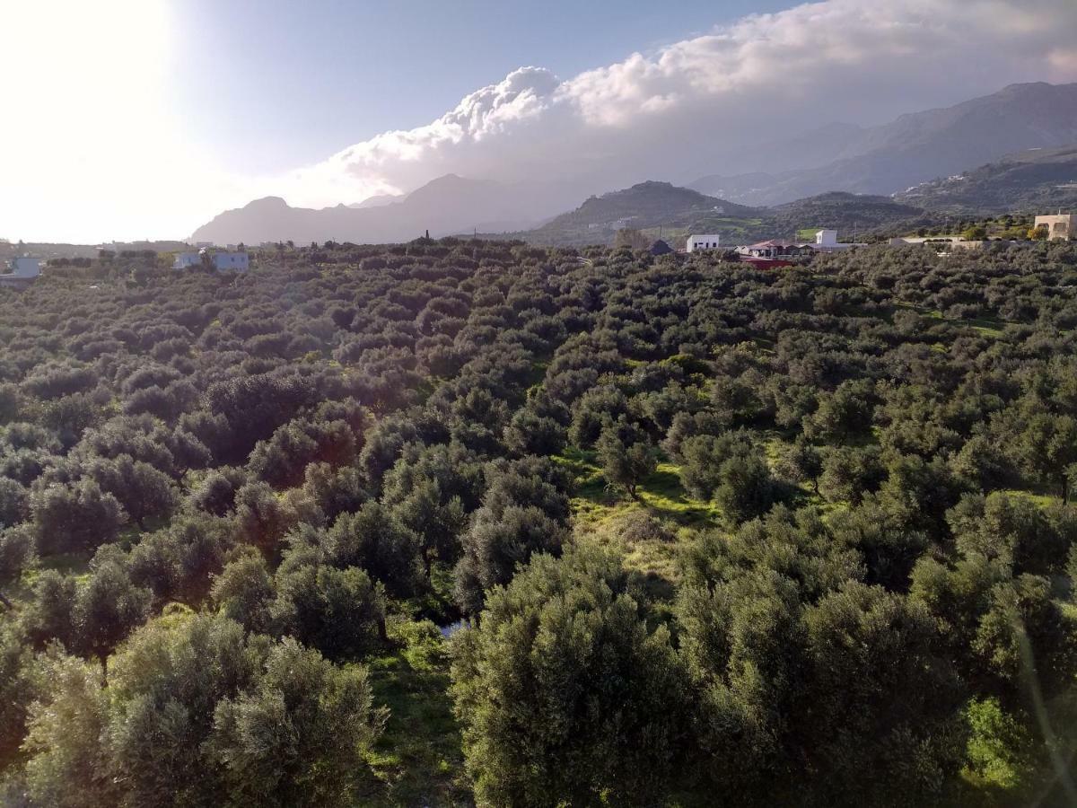 Greek Blue Apartment Плакиас Екстериор снимка