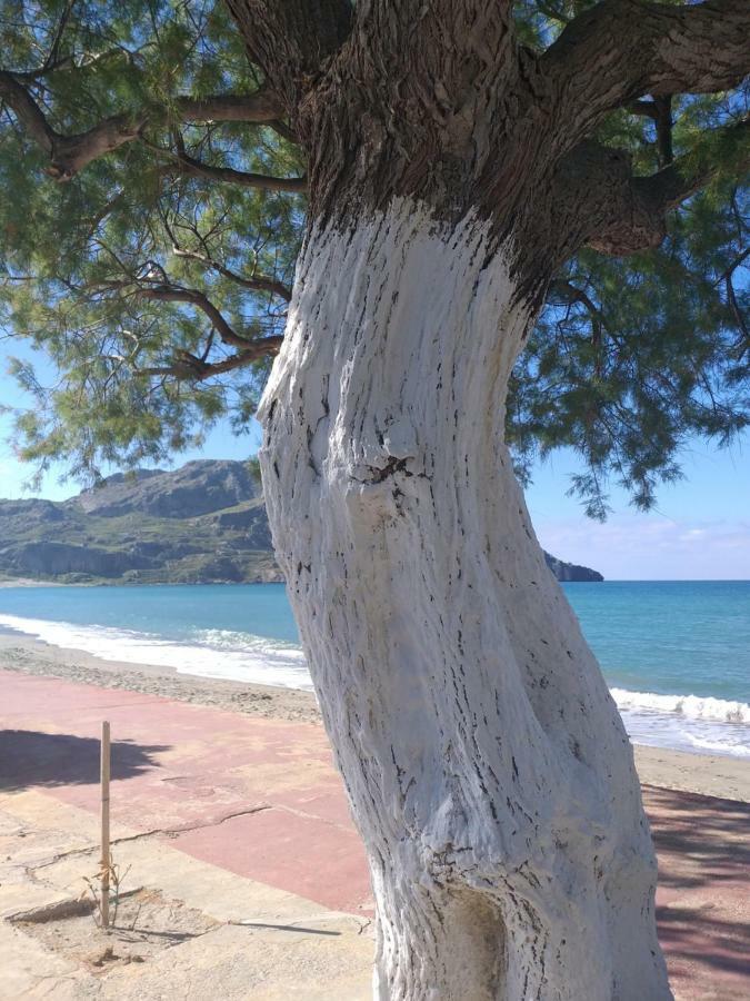 Greek Blue Apartment Плакиас Екстериор снимка